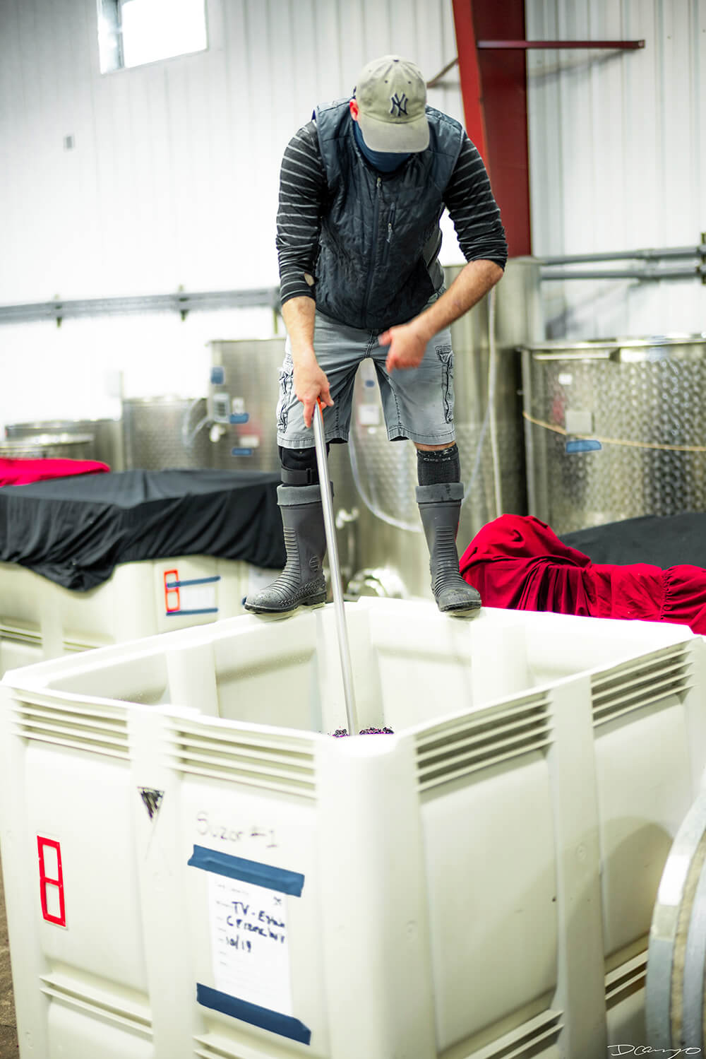 Photos with Communique Wines in McMinville, Oregon, in the Fall of 2020.